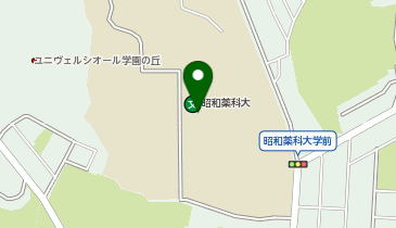 生活彩家 昭和薬科大学店の地図画像