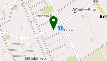 ビッグ・エー狭山狭山台店の地図画像