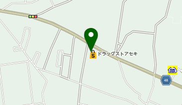 ドラッグストア セキ 岩槻城南店の地図画像