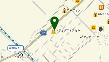 ドラッグストア セキ 伊奈学園店の地図画像