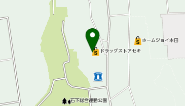 ドラッグストア セキ 鴻野山店の地図画像