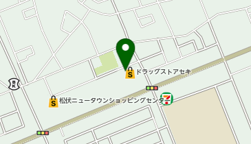 ドラッグストア セキ 松伏中央店の地図画像