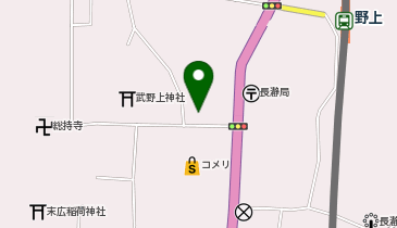 ドラッグストア セキ 長瀞店の地図画像