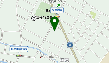 ドラッグストア セキ 宮代店の地図画像