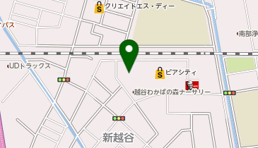 ドラッグストア セキ ピアシティ南越谷店の地図画像
