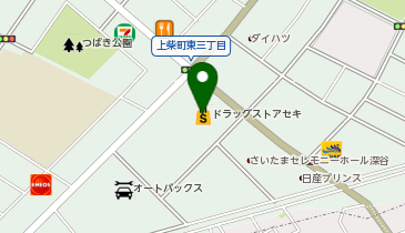 ドラッグストア セキ 上柴店の地図画像