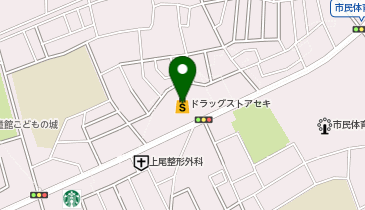 ドラッグストア セキ 上尾川店の地図画像