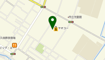 ペットショップCoo&RIKU ヤオコー幸手店の地図画像