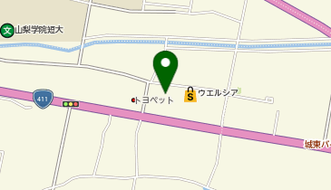 城南コベッツ 甲府東教室の地図画像