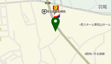 ブロンコビリー 東松山店の地図画像