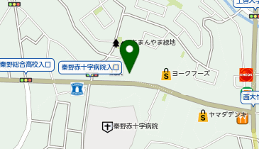 カーテンじゅうたん王国 秦野店の地図画像