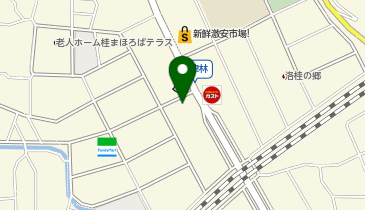 ビジョンメガネ 桂・下津林店の地図画像