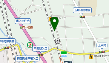 chocoZAP(チョコザップ) 平間の地図画像