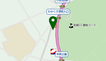 VEGEGO 入間インター(2026年1月29日オープン)の地図画像