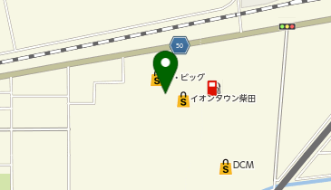 マクドナルド ザ・ビッグ柴田店の地図画像