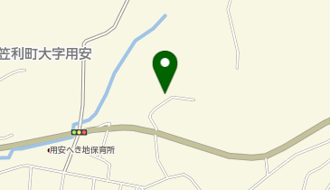 全日食チェーン 島人マート笠利店の地図画像