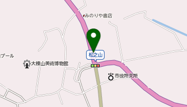 全日食チェーン メルシー松之山店の地図画像