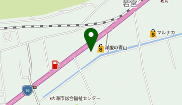 おたからや 東大洲店の地図画像