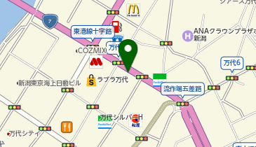 ピタットハウス新潟万代店の地図画像