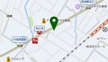ピタットハウス野洲店の地図画像