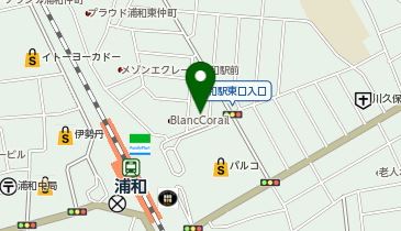 ピタットハウス浦和東口店の地図画像