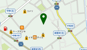 ロッテリア イオンモールとなみ店の地図画像