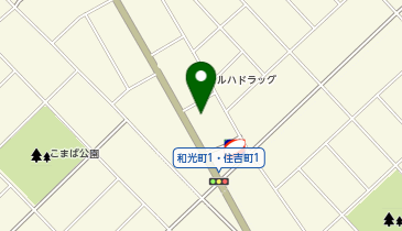 自遊空間 SELF恵庭住吉店の地図画像