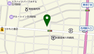 ランドリー専科古河東店の地図画像