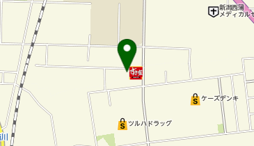 大型コインランドリーたんぽぽ巻店の地図画像