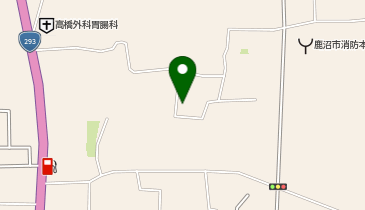 サンドライ鹿沼上殿店の地図画像