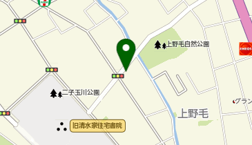 薬樹薬局 上野毛の地図画像