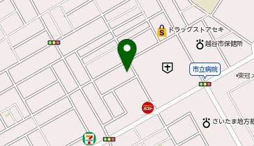 薬樹薬局 越谷の地図画像