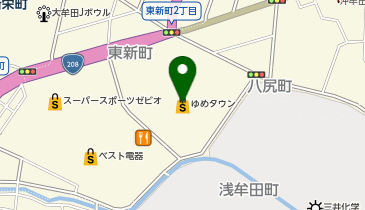 auショップ ゆめタウン大牟田店の地図画像