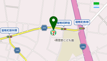 セブンイレブン 豊田市寿恵野店の地図画像