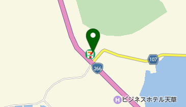 セブンイレブン 上天草大矢野中店の地図画像