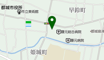 セブンイレブン 藤元総合病院店の地図画像