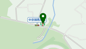 セブンイレブン 中京競馬場東店の地図画像