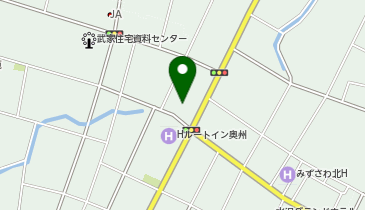 セブンイレブン 奥州水沢大町店の地図画像