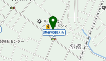 セブンイレブン ひたちなか堂端2丁目店の地図画像