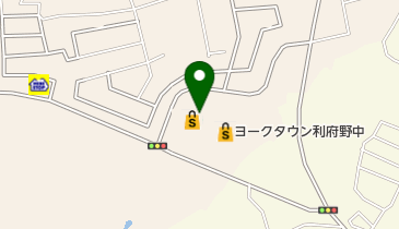 セブン銀行 ヨークベニマル 利府野中店 共同出張所の地図画像