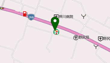 セブンイレブン 野尻東麓店の地図画像
