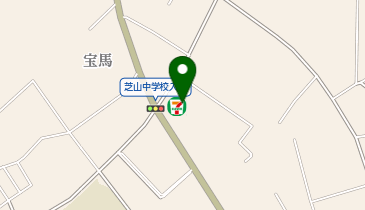 セブンイレブン 芝山宝馬店の地図画像