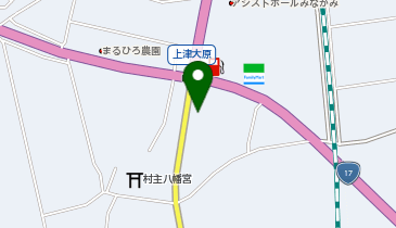 セブンイレブン みなかみ上津店の地図画像