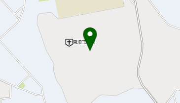 セブン銀行 東埼玉病院 共同出張所の地図画像