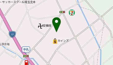 セブン銀行 カインズ 北本店 共同出張所の地図画像