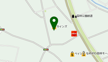 セブン銀行 カインズ なめがわモール店 共同出張所の地図画像