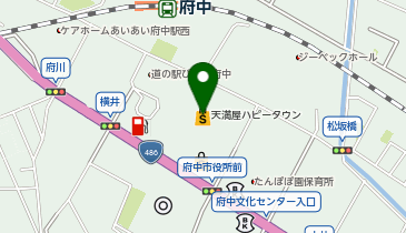 セブン銀行 府中天満屋 共同出張所の地図画像