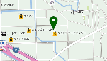 セブン銀行 ベイシア行田店 共同出張所の地図画像