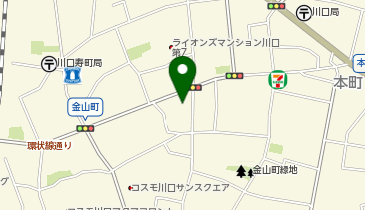 セブンイレブン 川口金山町店の地図画像