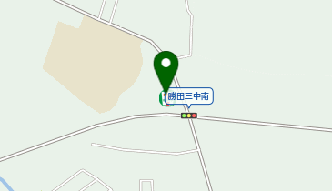 セブンイレブン ひたちなか前渡店の地図画像